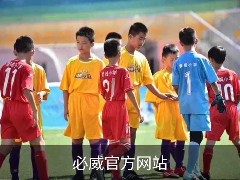 必威官方网站概况